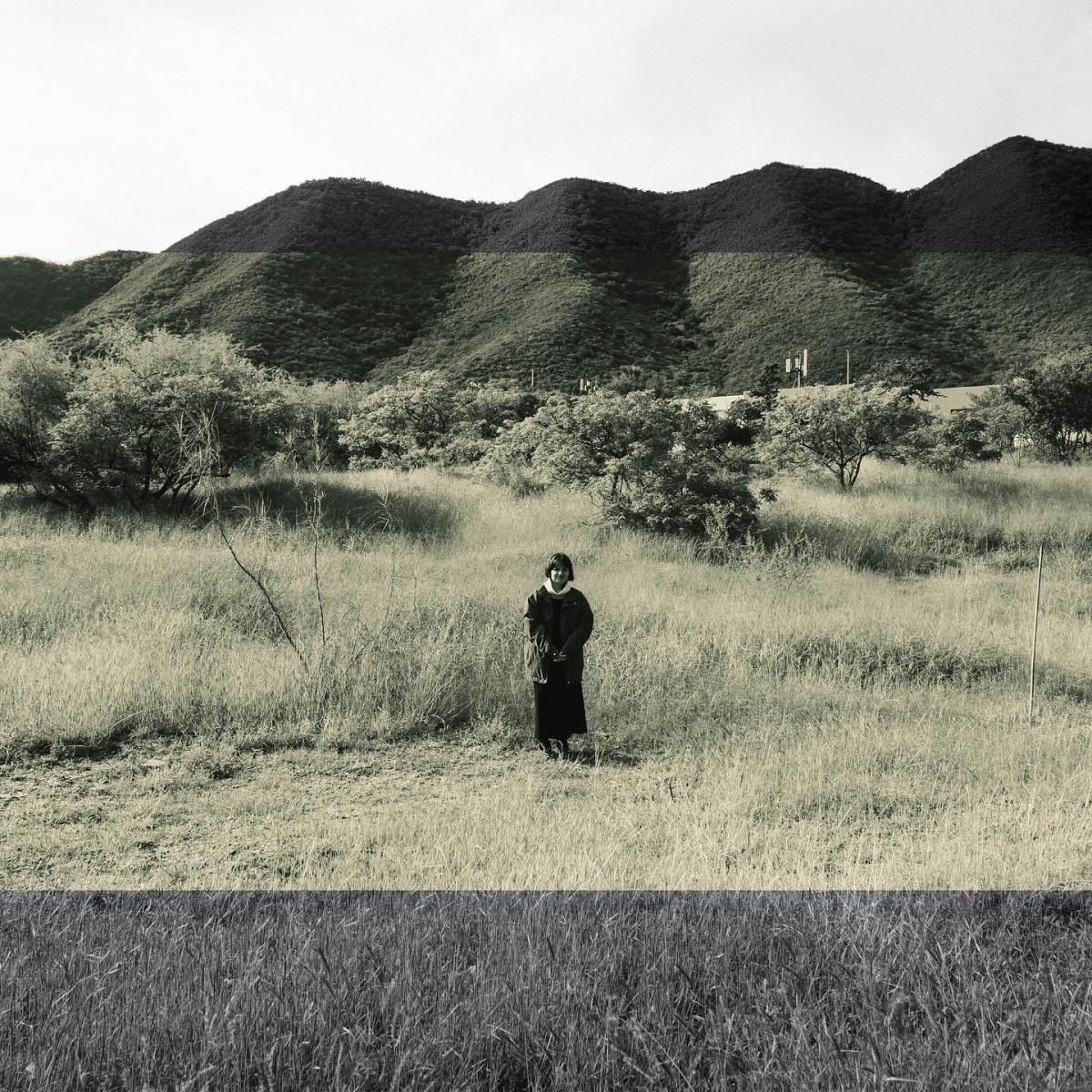 La Magia de la Ausencia: Reseña de Más Que Solos, Una Eternidad de Edison Gracia&nbsp;(2024)