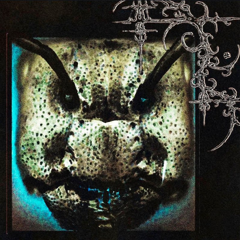 Reseña: Niño Prodigio – 572&nbsp;(2026)